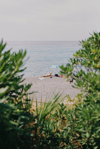 Mediterranean Pleasure - 2025