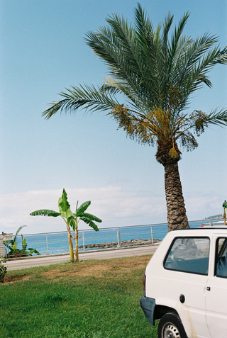 Mediterranean Pleasure - 2025